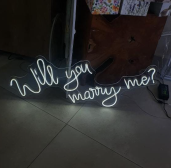 Will you marry me ? V1