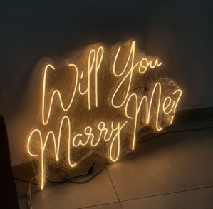 Will you marry me ? V2
